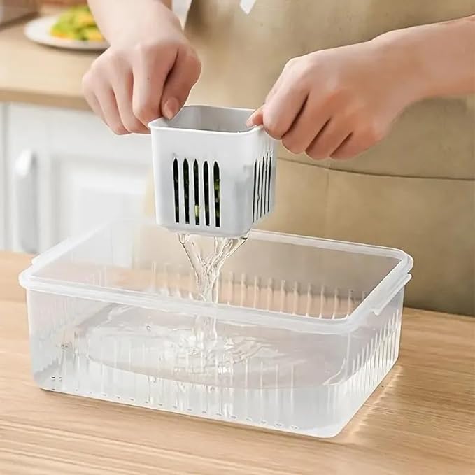 Compartment Fridge Storage Box