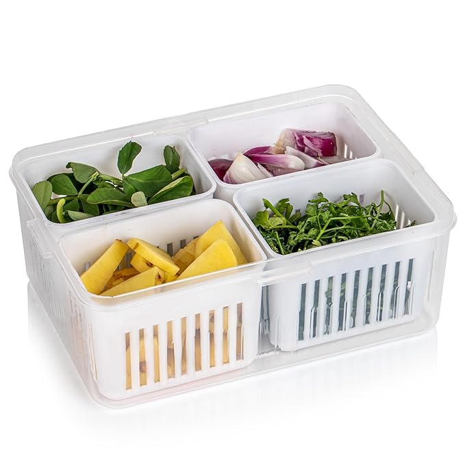 Compartment Fridge Storage Box