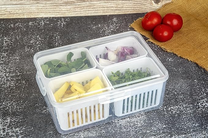 Compartment Fridge Storage Box