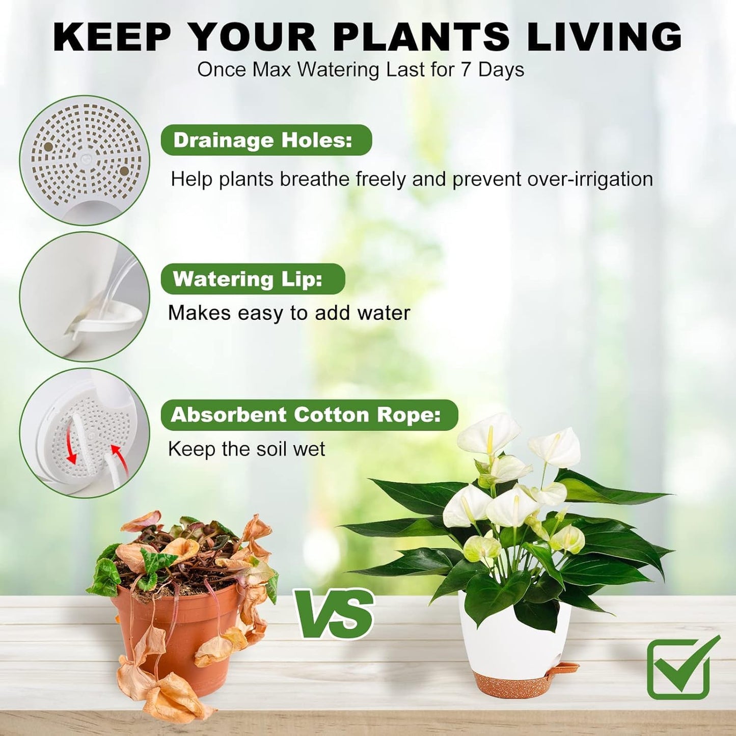Self Watering Plant Pot Set of 5