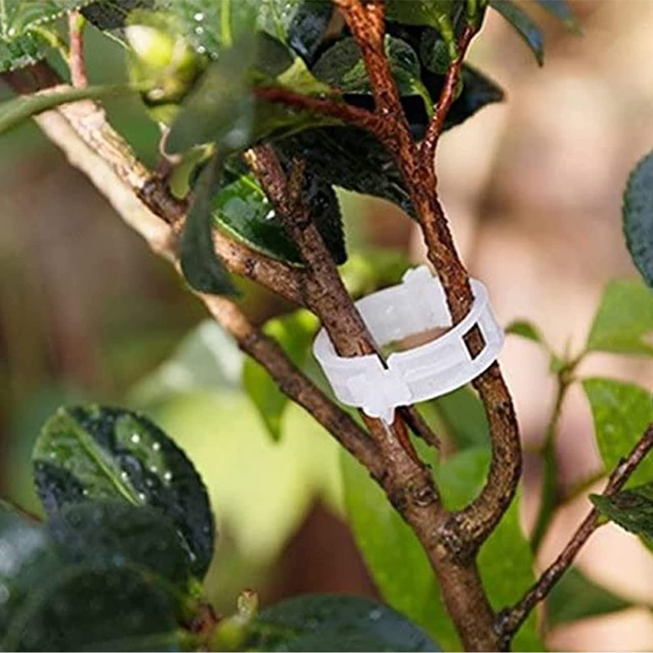 Multipurpose plant support clips