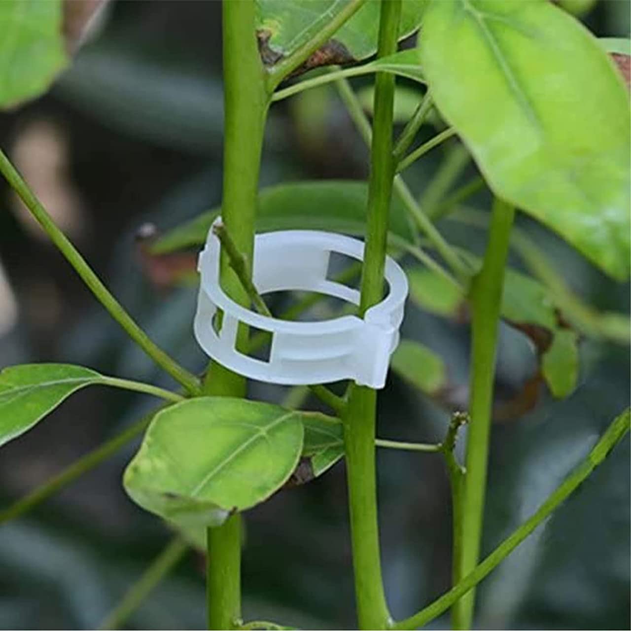 Multipurpose plant support clips